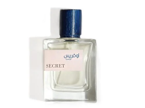 صرصور لعبة